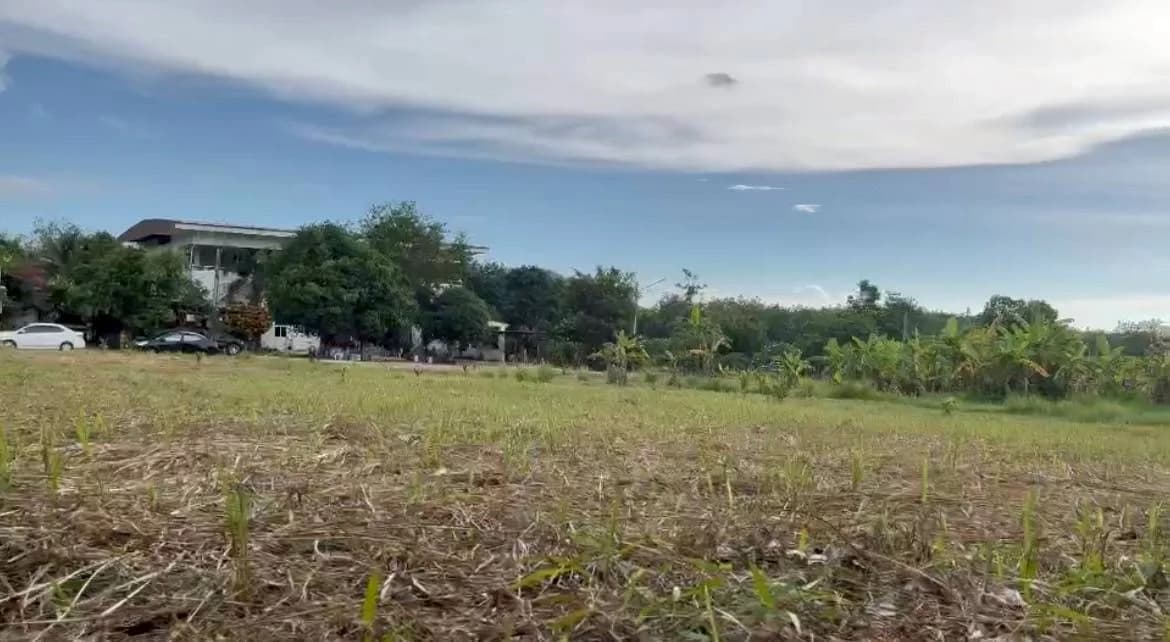 Land for sale 3 rai 2 ngan 0 sq.wah. Soi Tantawanit. 4