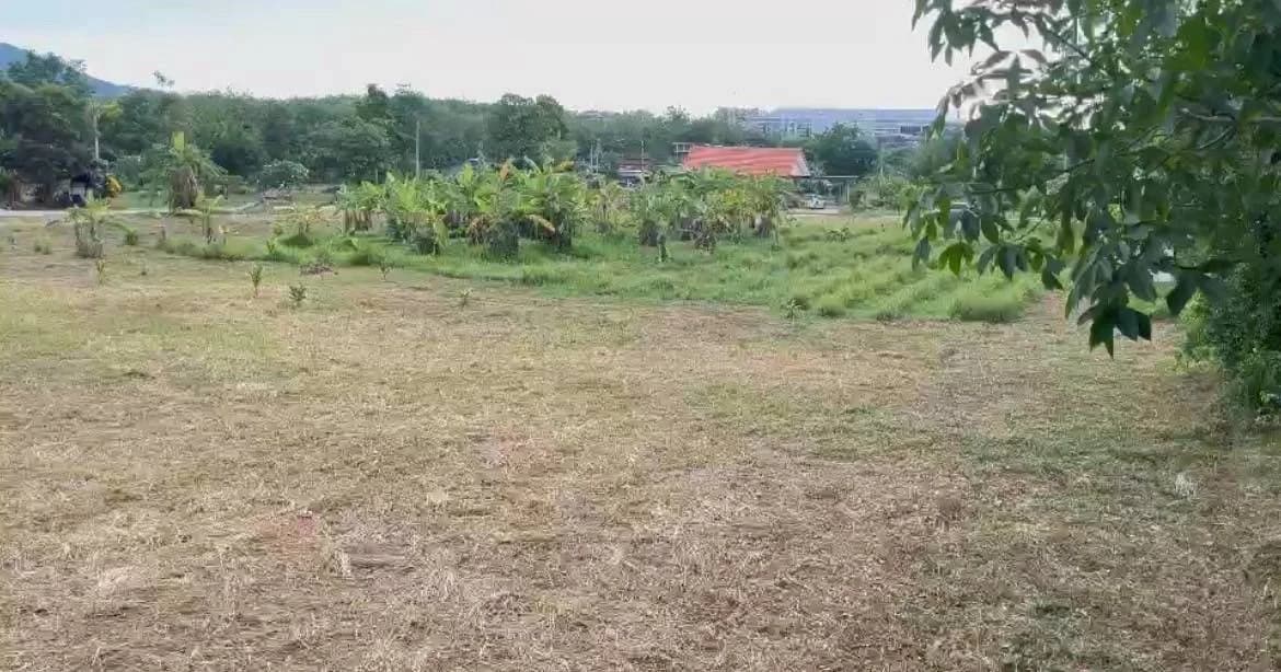 Land for sale 3 rai 2 ngan 0 sq.wah. Soi Tantawanit. 5