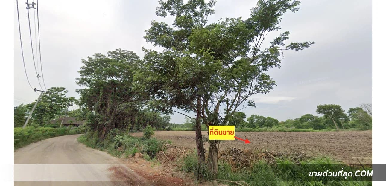 Land for sale 5 rai 0 ngan 13 sq.wah near Rancho Charnvee Golf Course 1