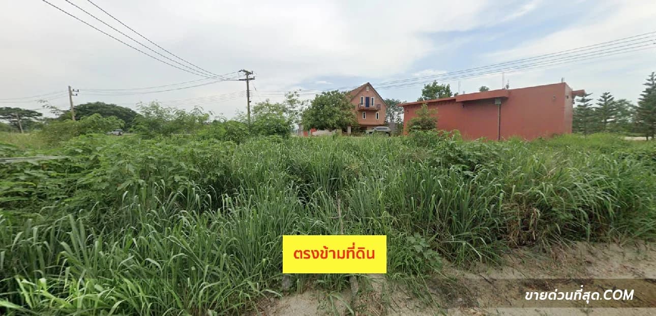 Land for sale 5 rai 0 ngan 13 sq.wah near Rancho Charnvee Golf Course 3