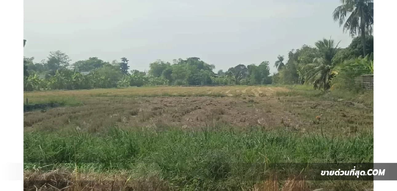 Land For Sale Khum Thong, Lat Krabang, Bangkok — photo 1