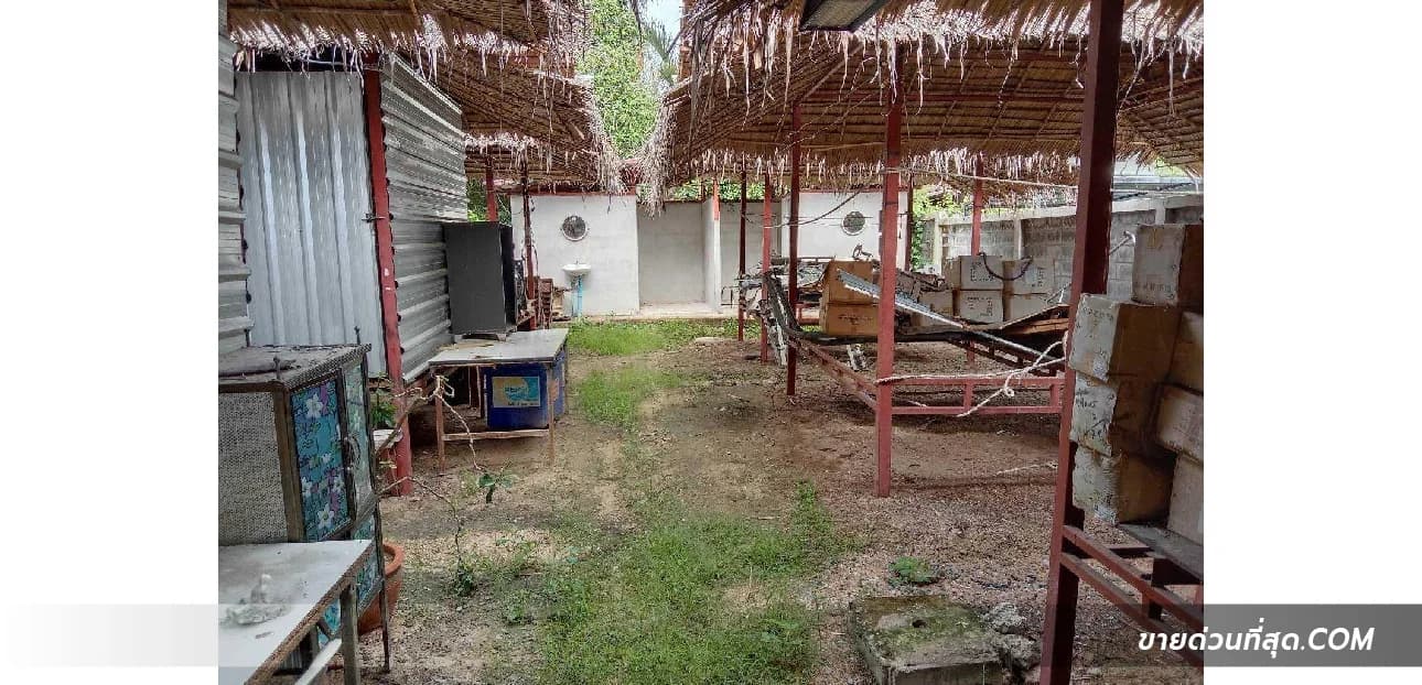 ขายที่ดินพร้อมบ้านเดี่ยวชั้นเดียว 245 ตร.ว. ตั้งอยู่ ถ.เลี่ยงหนองมน จ.ชลบุรี 1