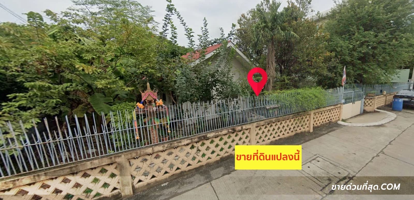 ขายที่ดินพร้อมบ้านชั้นเดียว 2 หลัง ในซอย แบริ่ง 31 เนื้อที่ 202 ตร.ว. 2