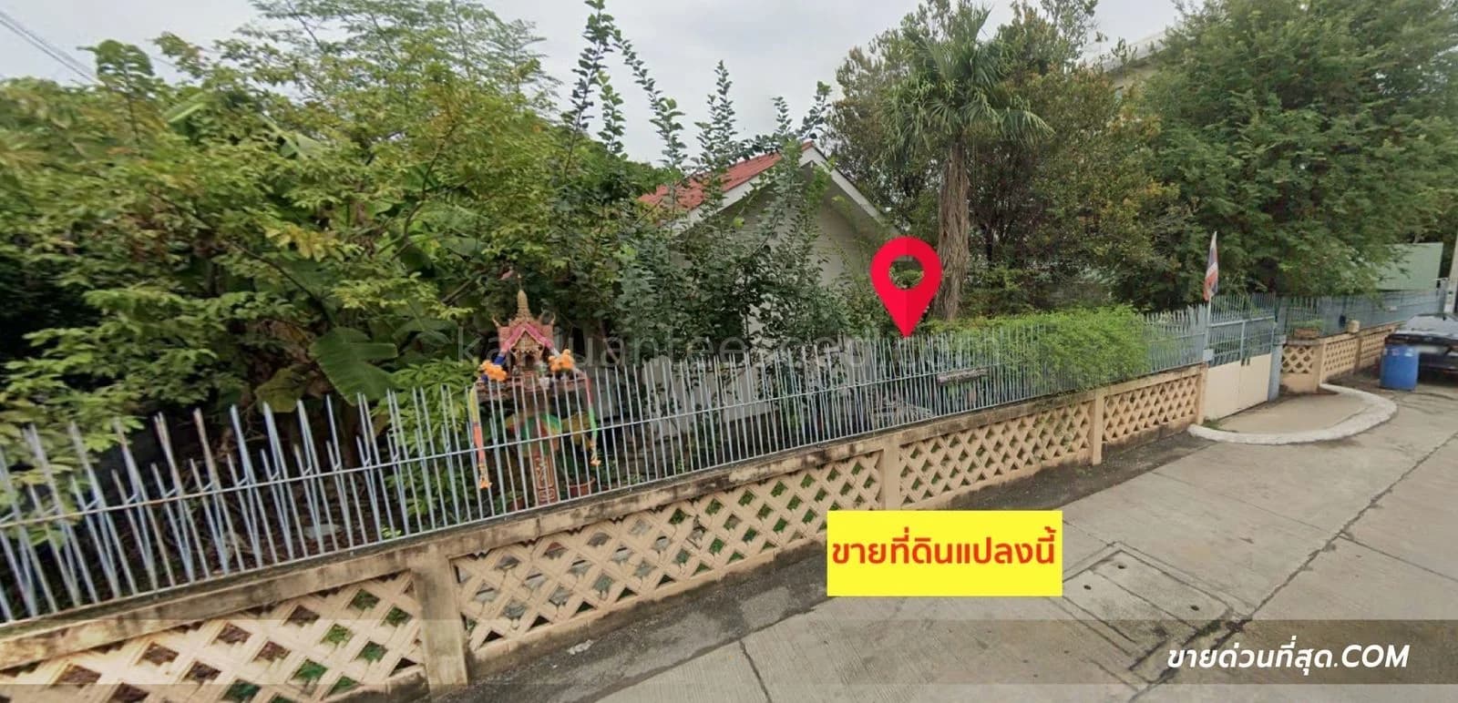 ขายที่ดินพร้อมบ้านชั้นเดียว 2 หลัง ในซอย แบริ่ง 31 เนื้อที่ 202 ตร.ว. 4