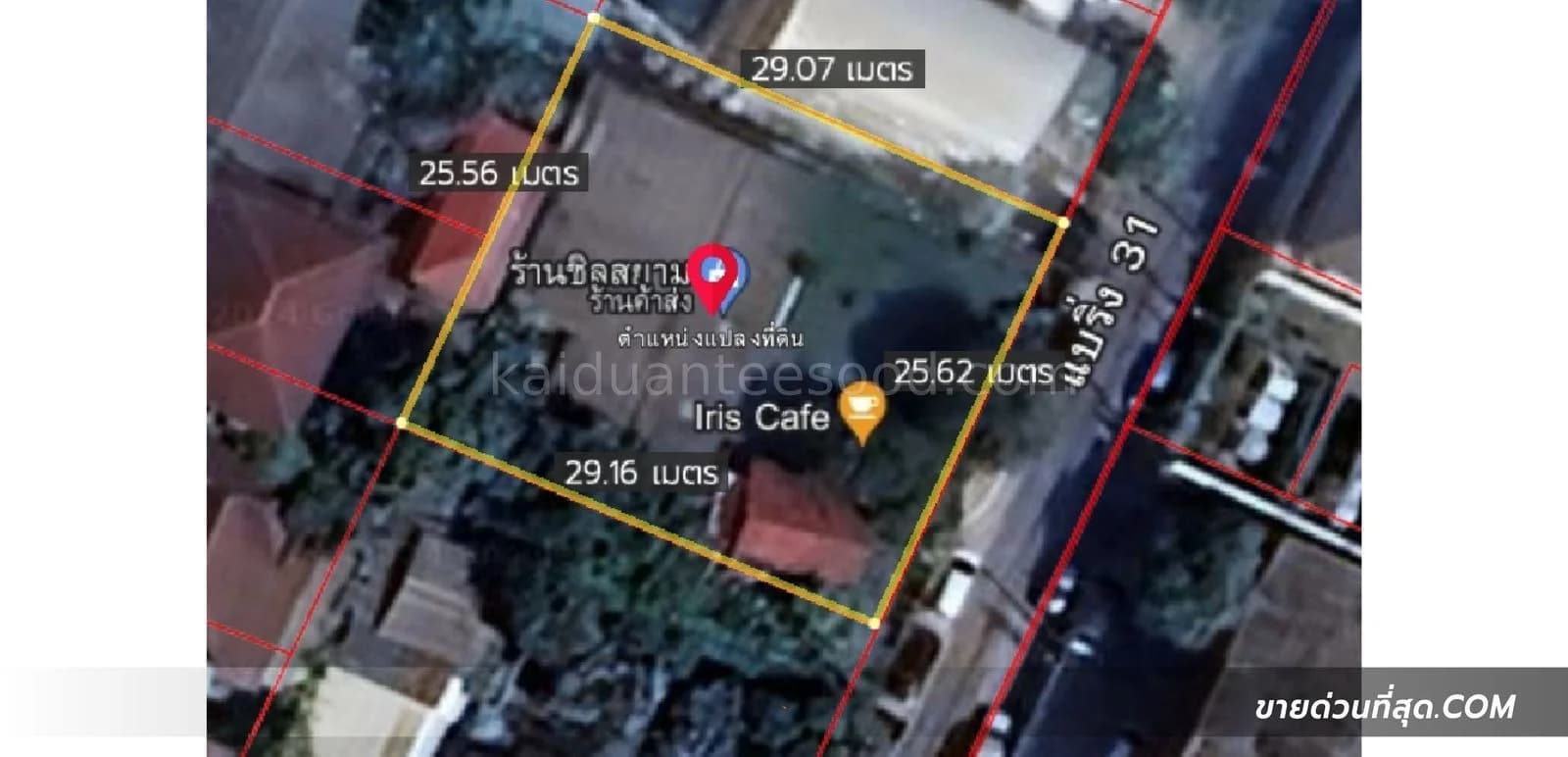ขายที่ดินพร้อมบ้านชั้นเดียว 2 หลัง ในซอย แบริ่ง 31 เนื้อที่ 202 ตร.ว. 5
