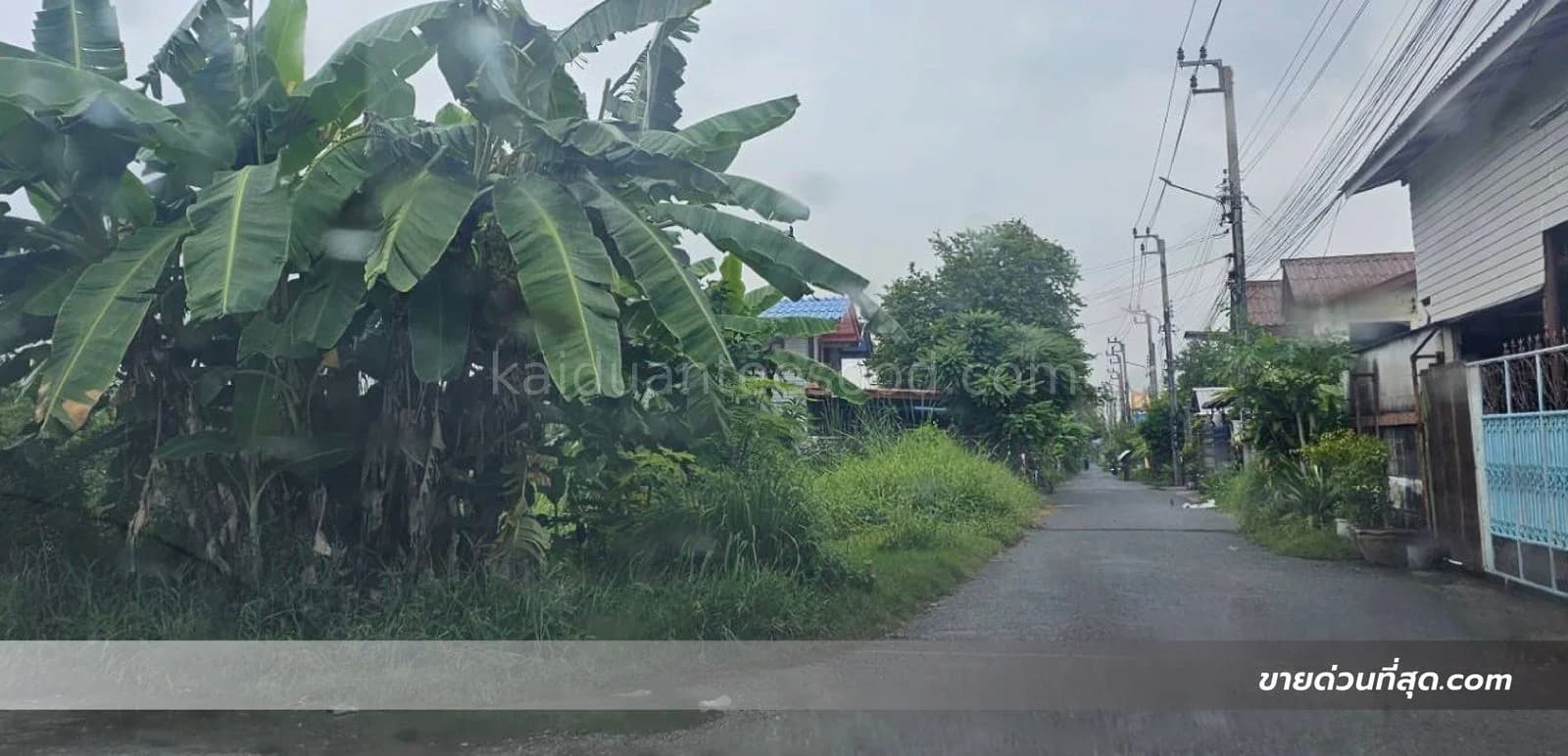 ขายที่ดินเปล่า ซอยคุ้มเกล้า 64 ลาดกระบัง เนื้อที่ 61 ตร.ว. 5