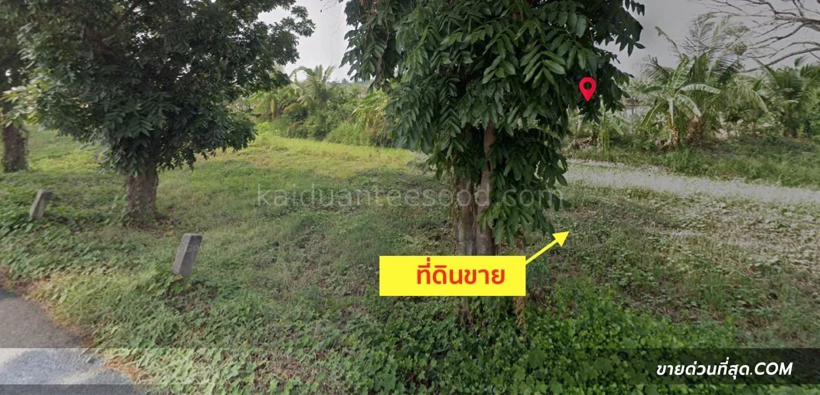 ขายที่ดิน ซ.กำนันสมจิตร ตั้งอยู่ จ.นนทบุรี เนื้อที่ 2-0-80.8 ไร่ 3