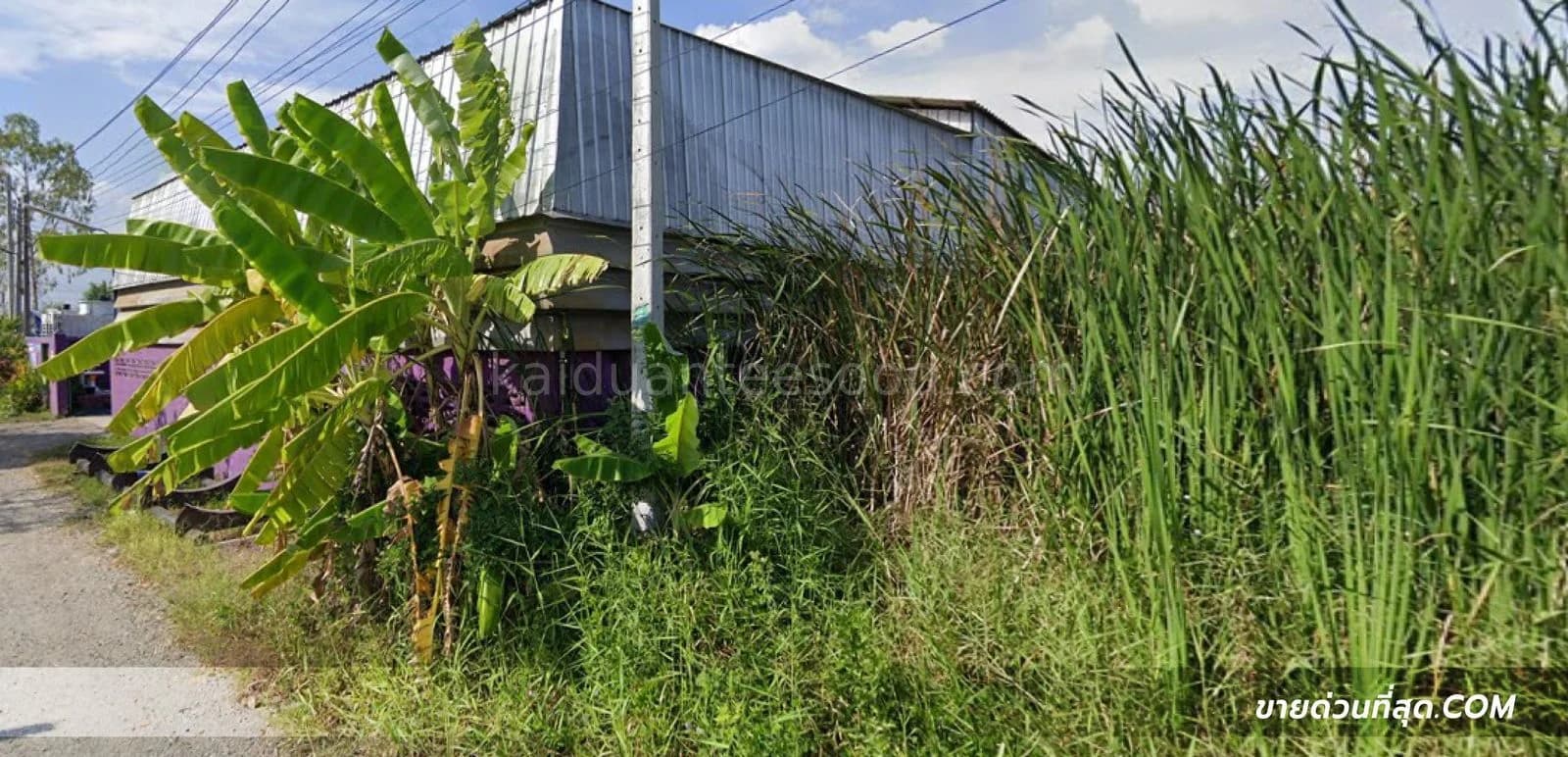 Land for sale adjacent to Bang Kaeo Municipal Road, Khlong Bang Bang, Samut Prakan Province. Area: 92 square wah. 4