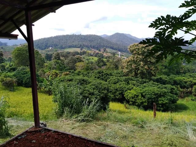 Land 89 rai 3 ngan 4.7 sq.wah. next to Pa O road. 1