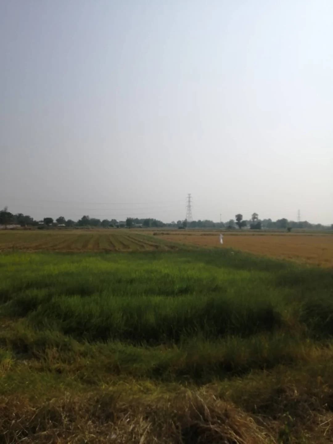 Land For Sale หัวรอ, เมืองพิษณุโลก, พิษณุโลก — photo 1