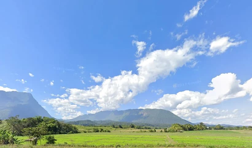 ขายที่ดิน 4 ไร่ 2 งาน 54 ตร.ว. ติดถนนหมายเลข 107 ใกล้สถานีตำรวจภูธรเชียงดาว 1