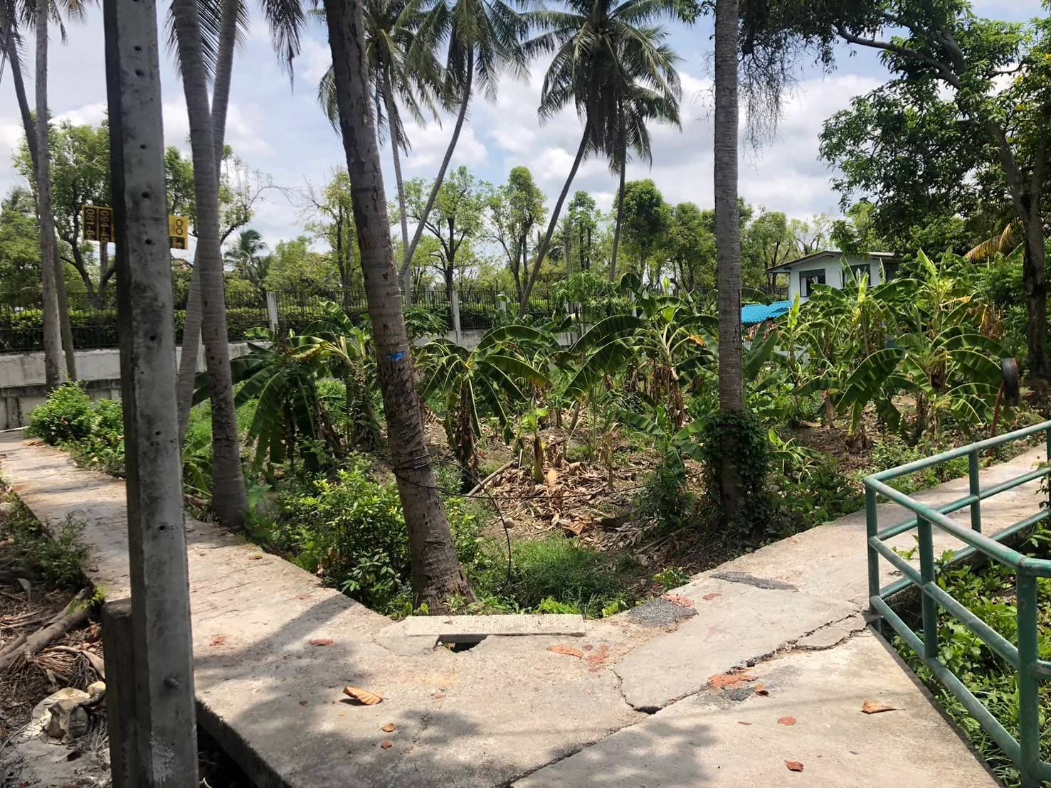 ขายที่ดิน เนื้อที่ 121 ตร.ว. ติดหมู่บ้านนันทวัน ใกล้โรงเรียนโพธิสารพิทยากร 4