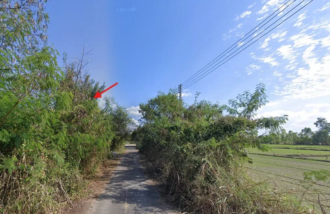 ขายที่ดิน  สันกำแพง 114 ตร.ว. ติดหมู่บ้านบียอนด์ ใกล้ถนนหมายเลข 1317 1