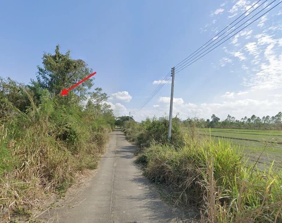 ขายที่ดิน สันกำแพง 113 ตร.ว. ใกล้ถนนหมายเลข 1317 และหมู่บ้านกาญจน์กนก 1 1