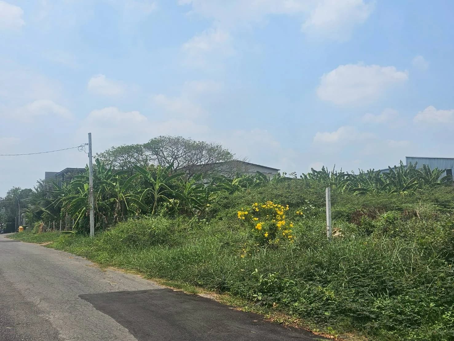 ขายที่ดิน 195 ตร.ว. ซ.เคหะร่มเกล้า 72 แยก 4 ใกล้โรงเรียนนานาชาติร่วมฤดี 1