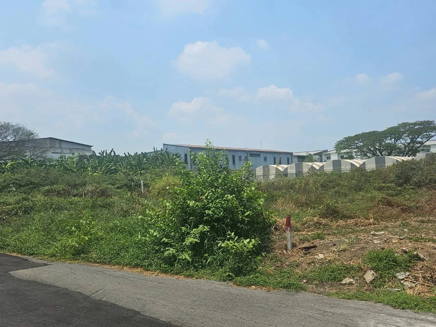 ขายที่ดิน 195 ตร.ว. ซ.เคหะร่มเกล้า 72 แยก 4 ใกล้โรงเรียนนานาชาติร่วมฤดี 2