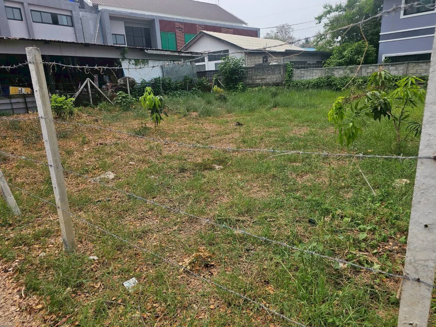Land For Sale หนองหอย, เมืองเชียงใหม่, เชียงใหม่ — photo 1