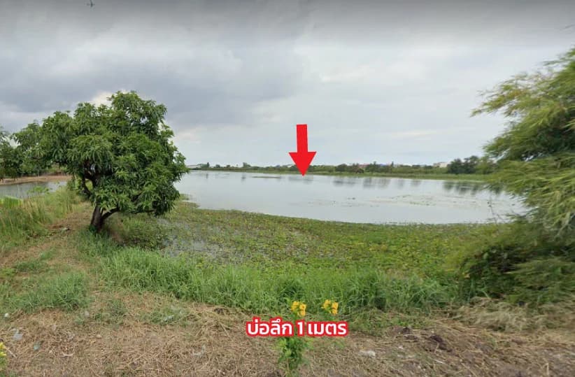 Land 44 rai 3 ngan 9.1 wah. Samut Prakan 3075 (Soi Ying Charoe) 2