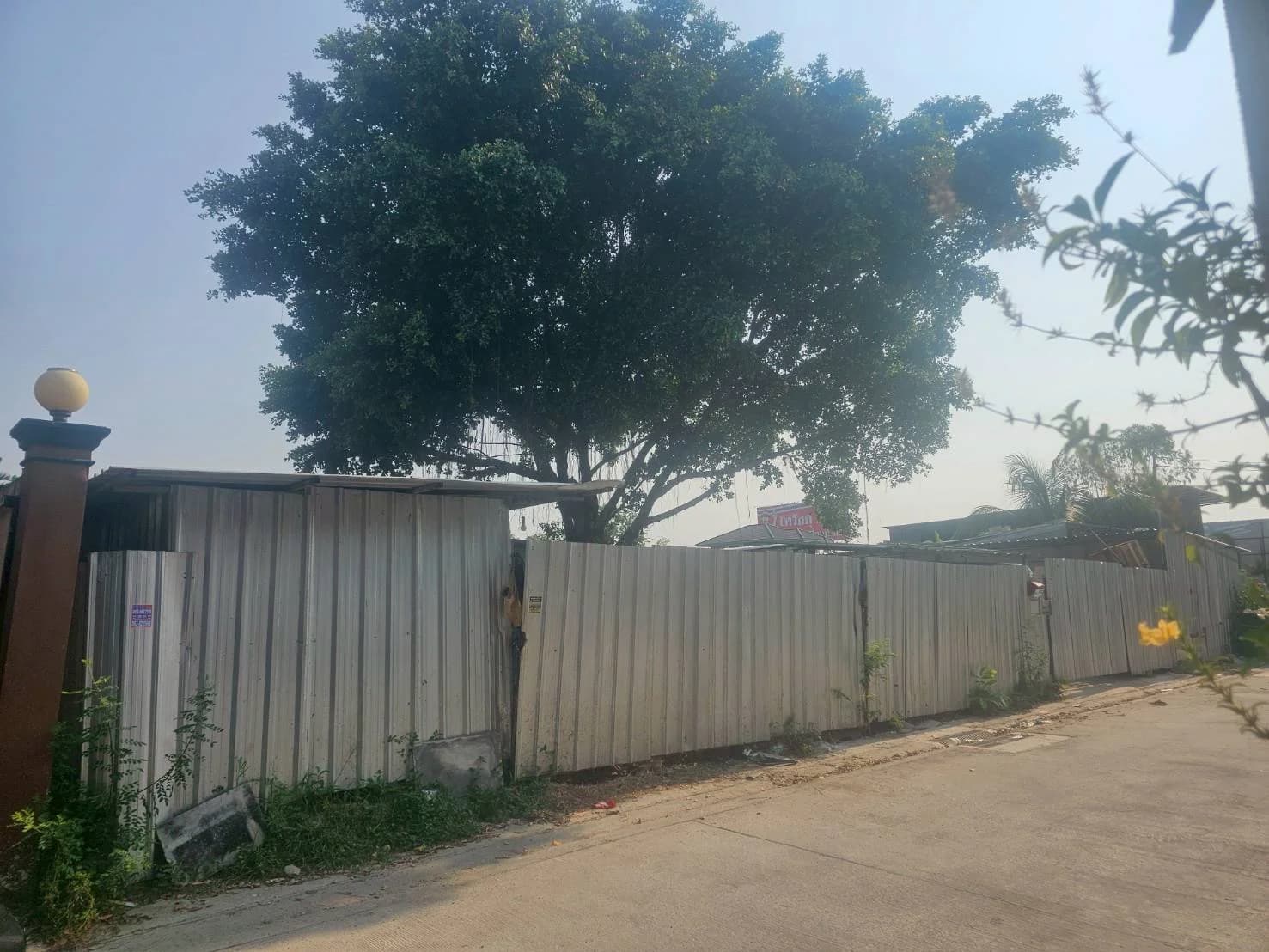 ขายที่ดิน 150 ตร.ว. ซ.พัฒนาชนบท 3 แยก 4 ลาดกระบัง ใกล้สนามบินสุวรรณภูมิ 3