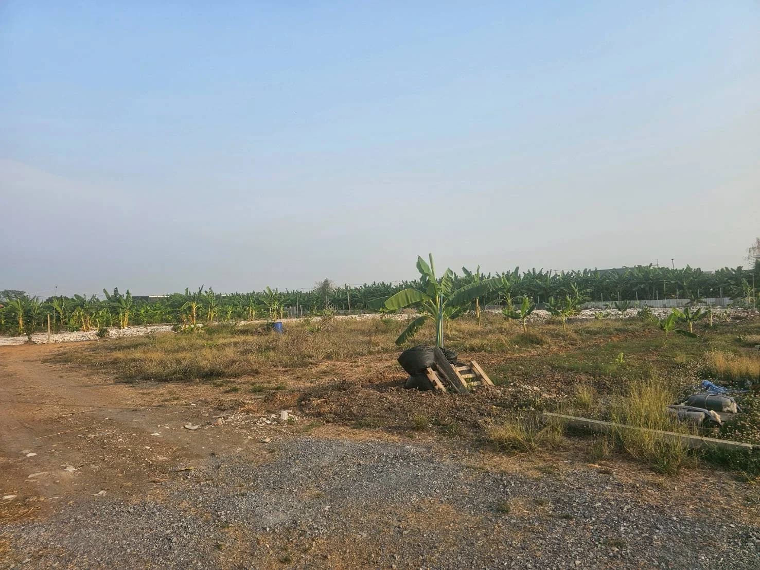 ขายที่ดิน 100 ตร.ว. ซ.ศรีนครินทร์-ร่มเกล้า 42 ถ.กรุงเทพกรีฑา ใกล้เดอะพาซิโอมอลล์ 1