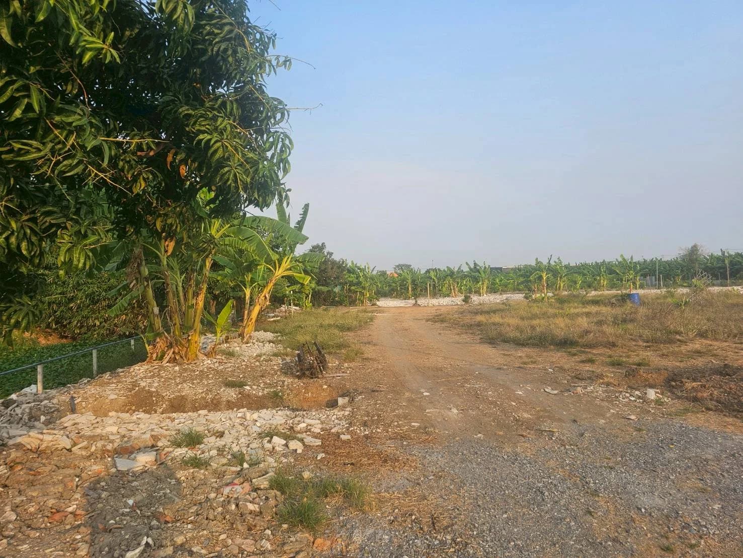 ขายที่ดิน 100 ตร.ว. ซ.ศรีนครินทร์-ร่มเกล้า 42 ถ.กรุงเทพกรีฑา ใกล้เดอะพาซิโอมอลล์ 2