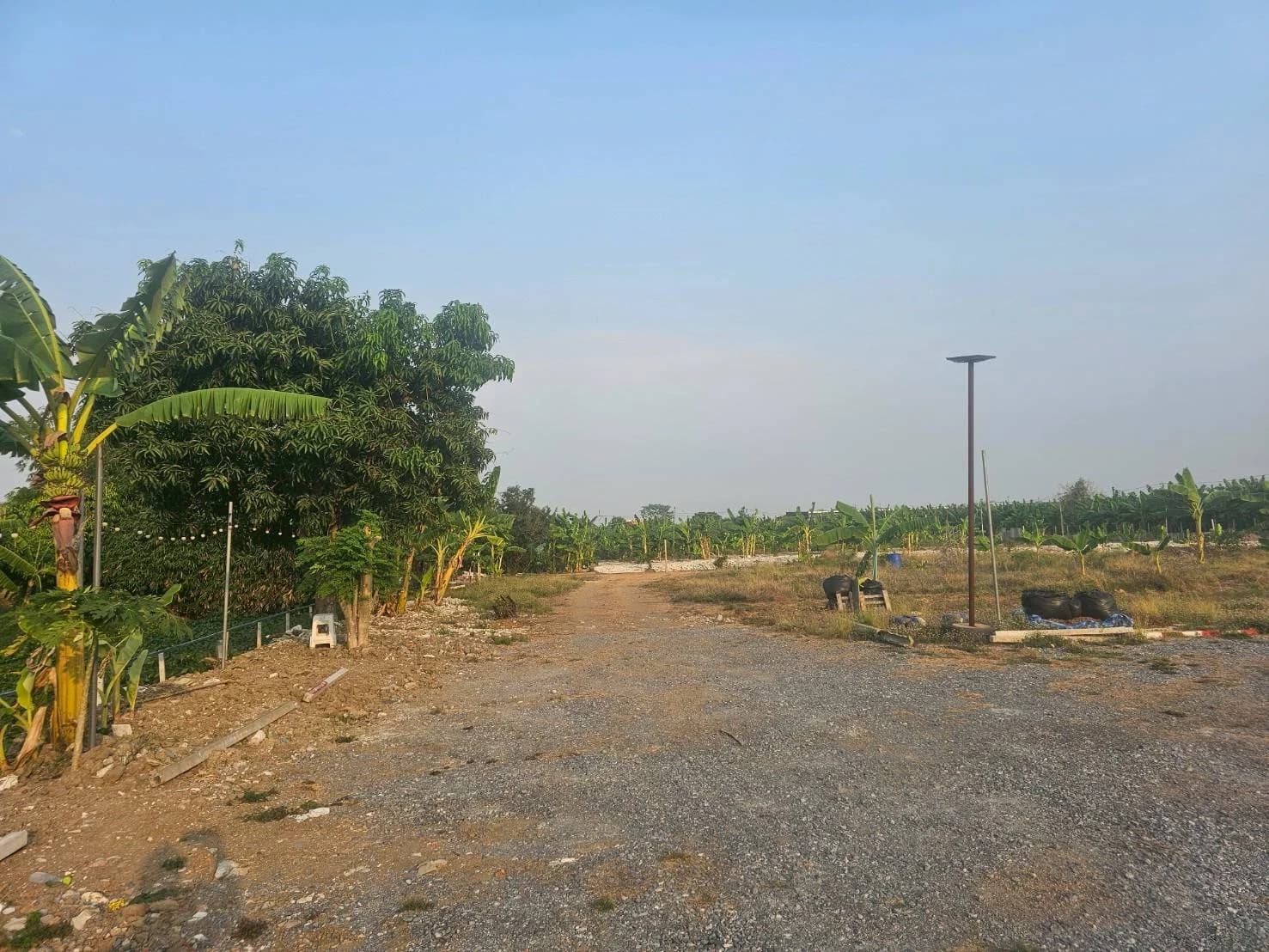 ขายที่ดิน 100 ตร.ว. ซ.ศรีนครินทร์-ร่มเกล้า 42 ถ.กรุงเทพกรีฑา ใกล้เดอะพาซิโอมอลล์ 3