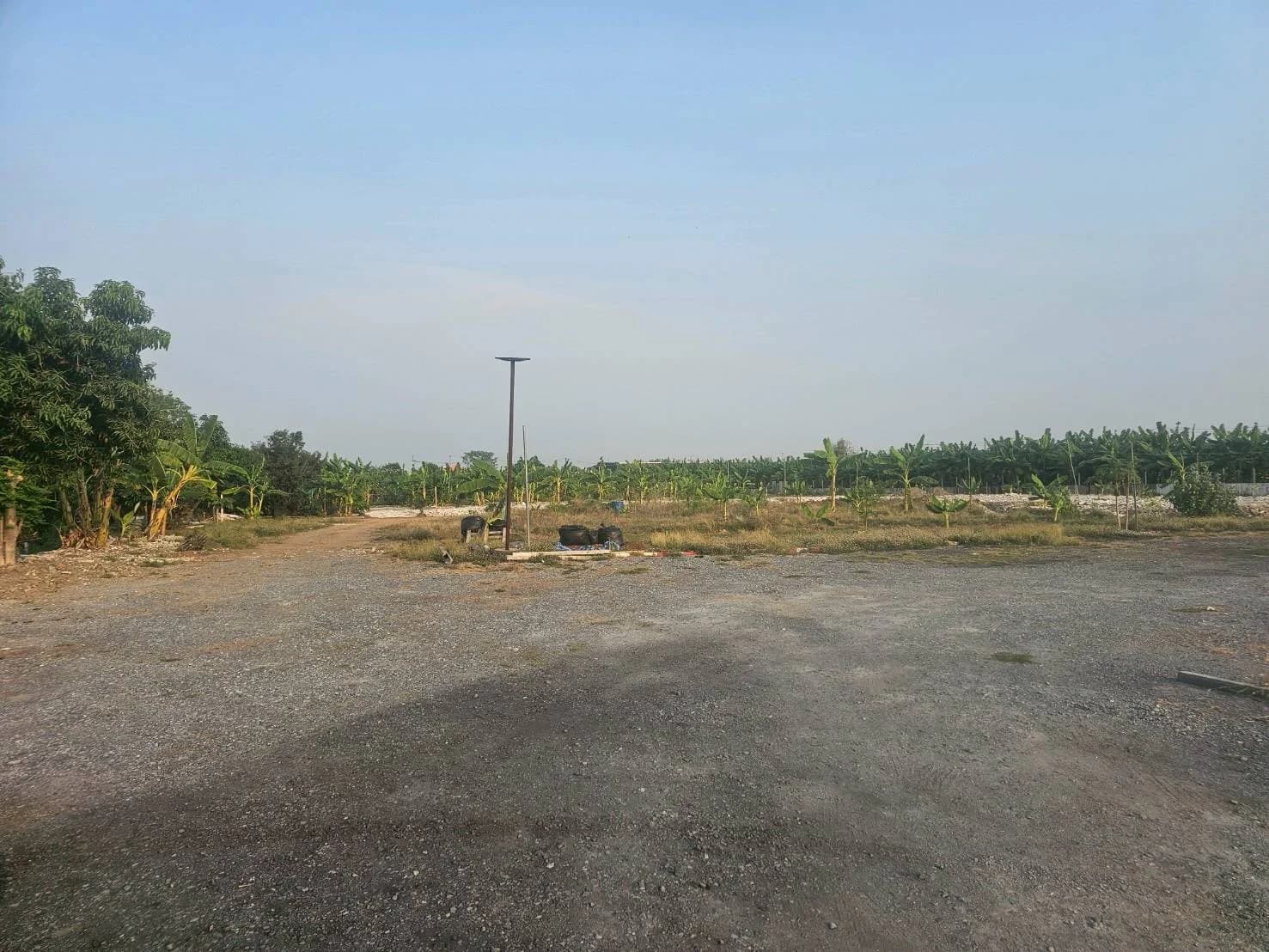 ขายที่ดิน 200 ตร.ว. ซ.ศรีนครินทร์-ร่มเกล้า 42 ถ.กรุงเทพกรีฑา ใกล้เดอะพาซิโอมอลล์ 1