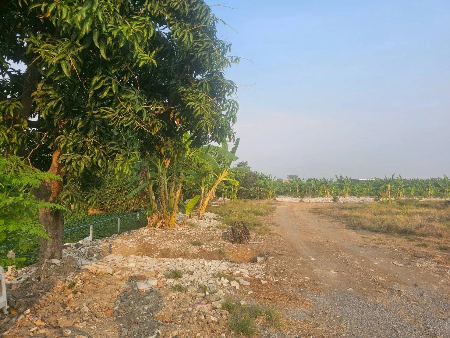 ขายที่ดิน 200 ตร.ว. ซ.ศรีนครินทร์-ร่มเกล้า 42 ถ.กรุงเทพกรีฑา ใกล้เดอะพาซิโอมอลล์ 5