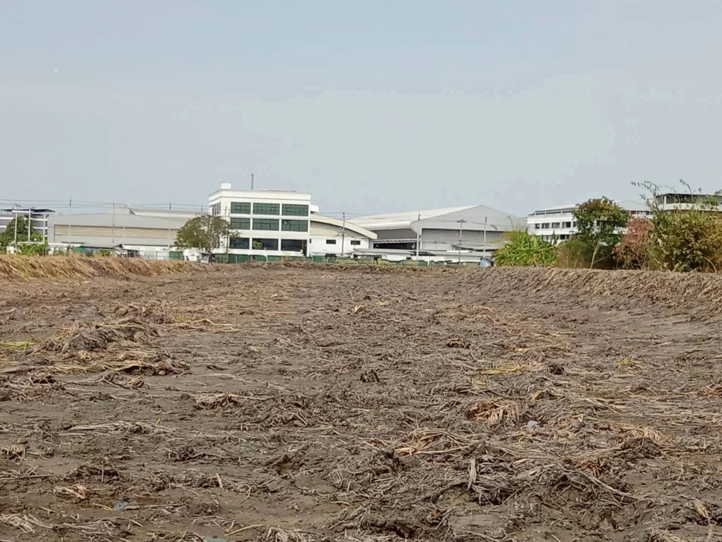 Land 12 Rai, 3 ngan 21 sq.w. adjacent to the Rural Road SP.2006 4