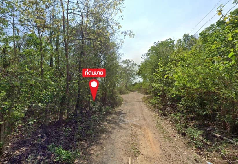 115 rai of land 0 jobs 0 sq.w., ThungMaiCooperative Cooperative Soi 2 1