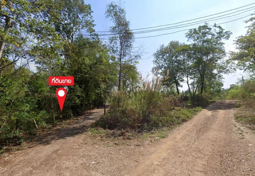 115 rai of land 0 jobs 0 sq.w., ThungMaiCooperative Cooperative Soi 2 3