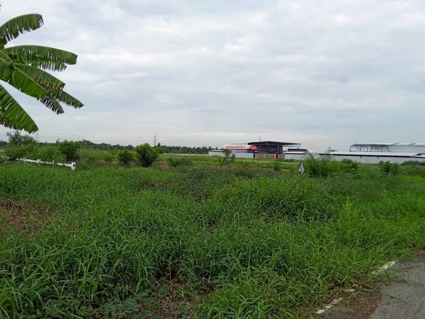 ขายที่ดิน 2 ไร่ ซอยเลียบคลองสิบสามฝั่งตะวันออก 34 ใกล้วัดป่าวิศรุตรัตนาราม 2