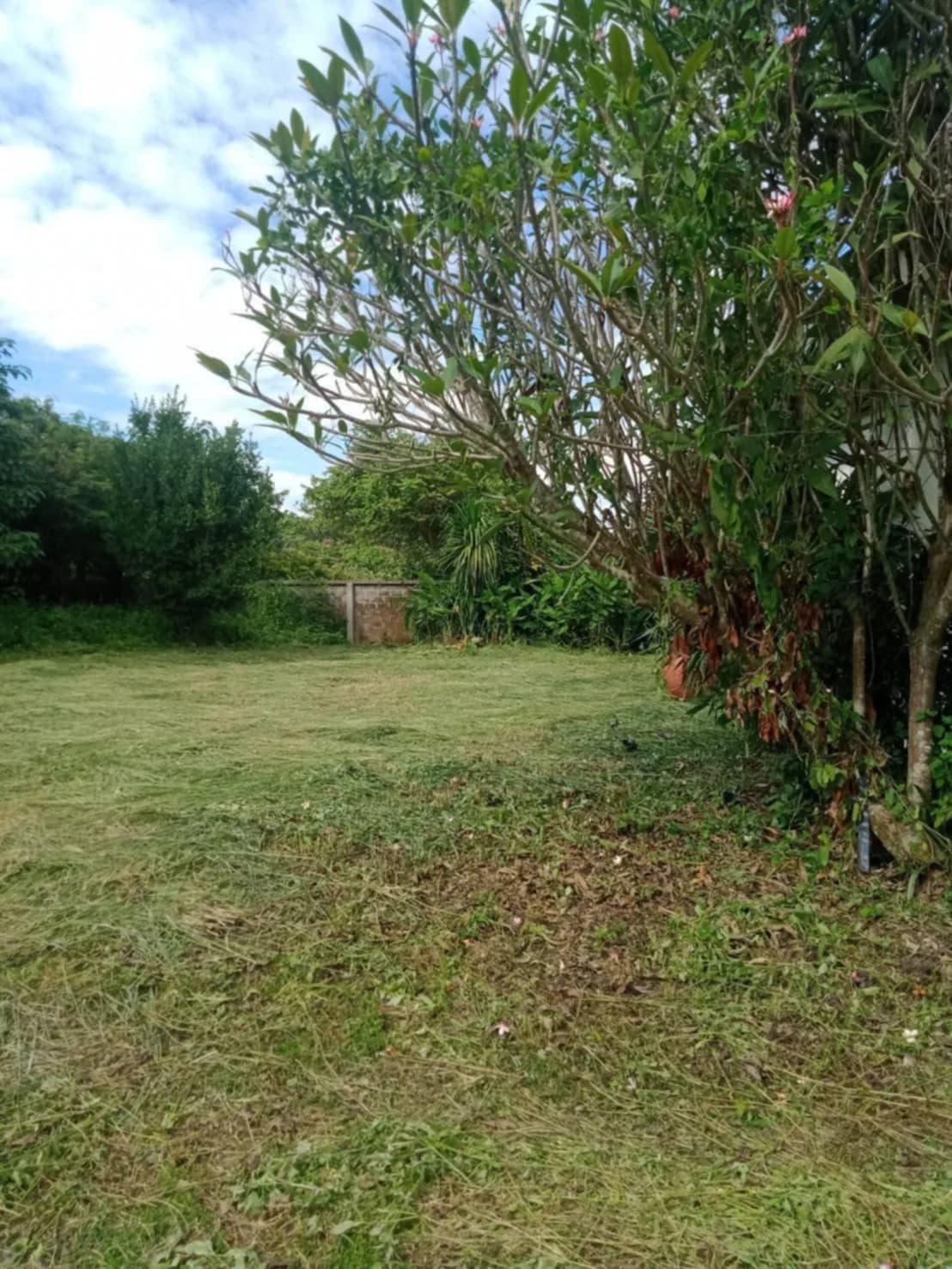 Land For Sale หนองแฝก, สารภี, เชียงใหม่ — photo 1