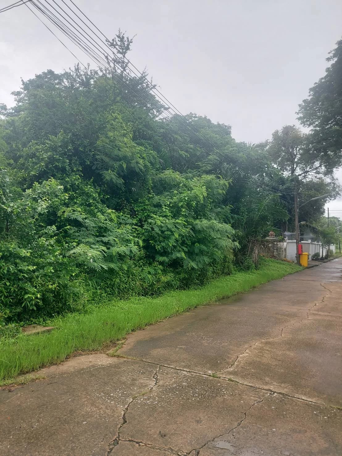 ขายที่ดิน 200 ตร.ว. หมู่บ้านเอื้อสุข พัฒนาการ 58 ซอย 6 ใกล้ถนนศรีนครินทร์ 3