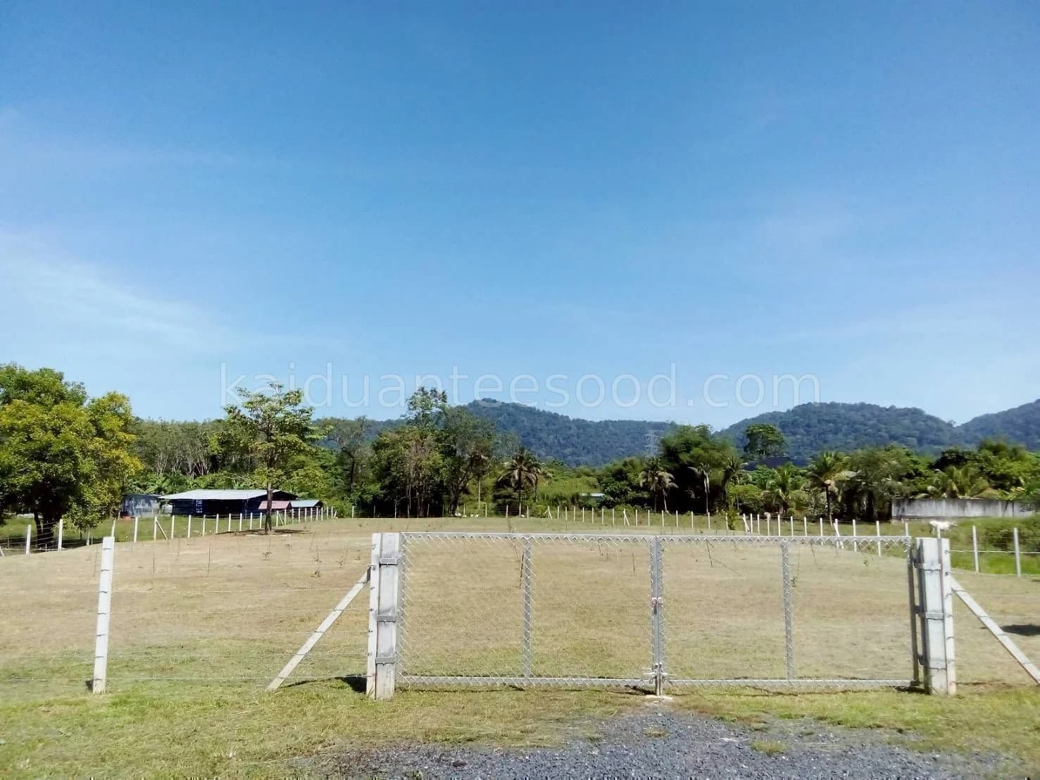 ขายที่ดินภูเก็ต 1-3-63.2 ไร่ ถนนหมายเลข 6014 ใกล้ โรงเรียนบ้านควน และโลตัสถลาง 1