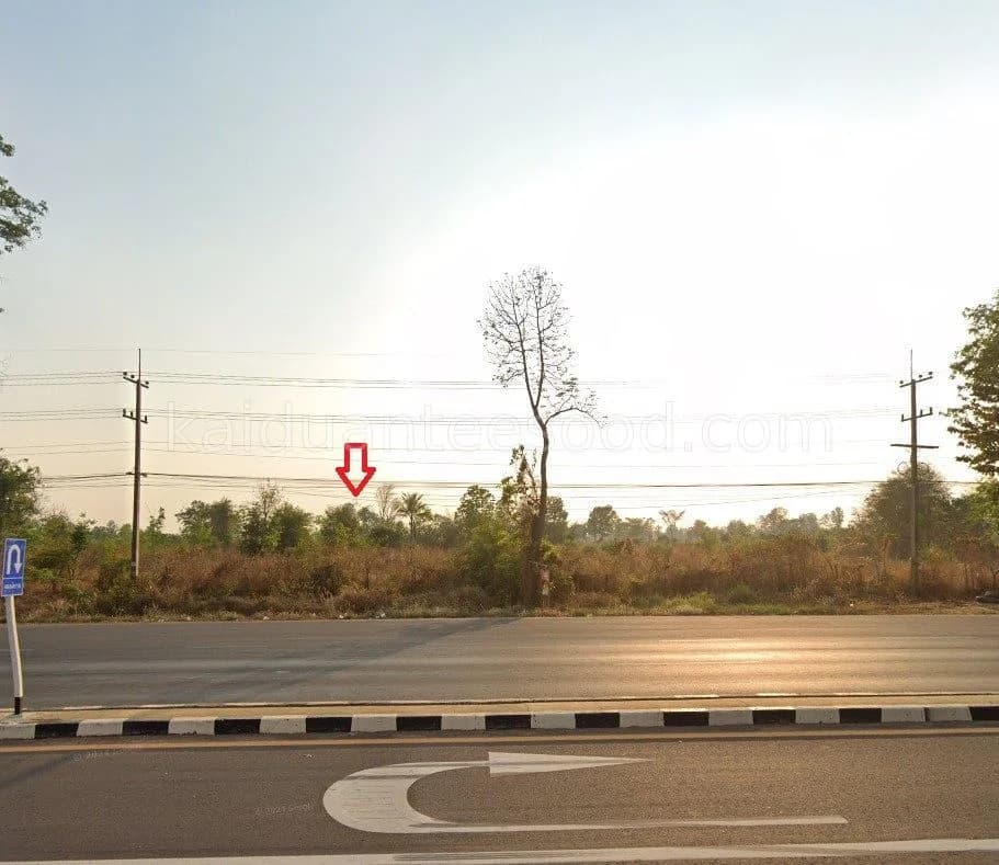 ขายที่ดิน 32 ไร่ 3 งาน 33 ตร.ว. ติดถนนหมายเลข 221 ใกล้ศาลจังหวัดกันทรลักษ์ 1