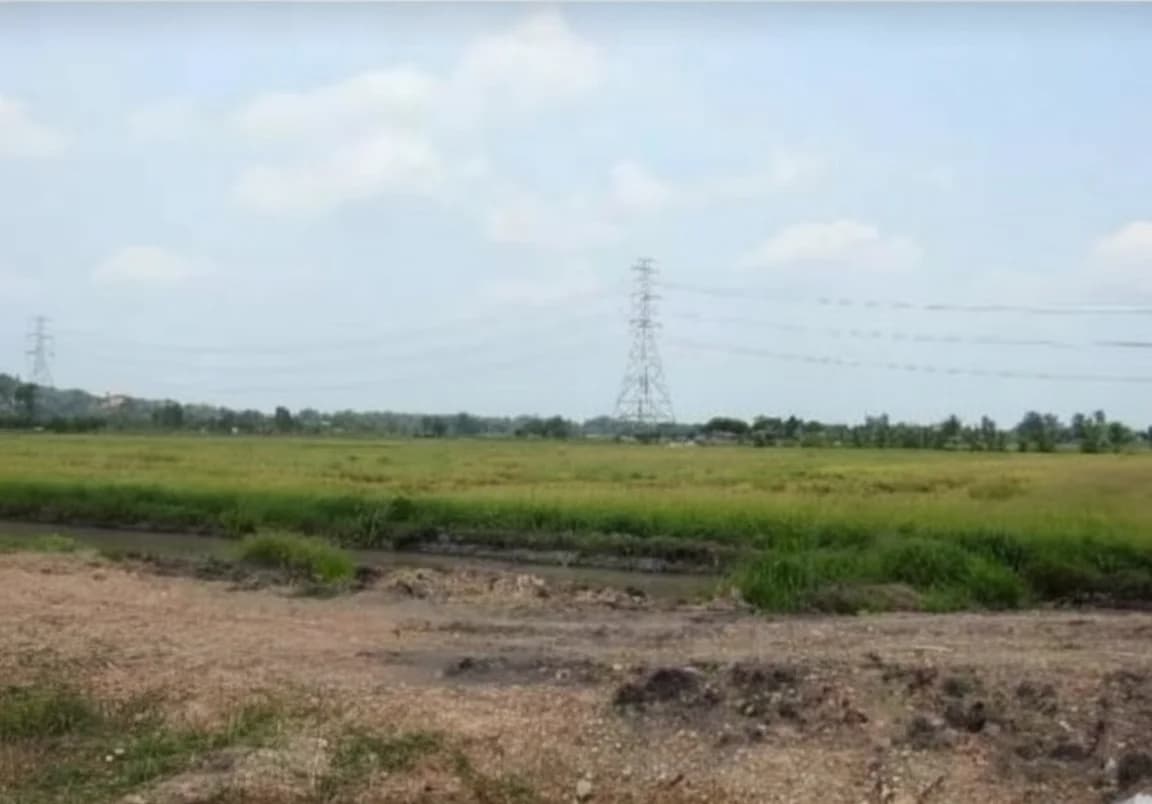 ขายที่ดิน เนื้อที่ 94-0-95 ไร่ อ.พนัสนิคม ใกล้โรงพยาบาลส่งเสริมสุขภาพตำบลหัวถนน 2