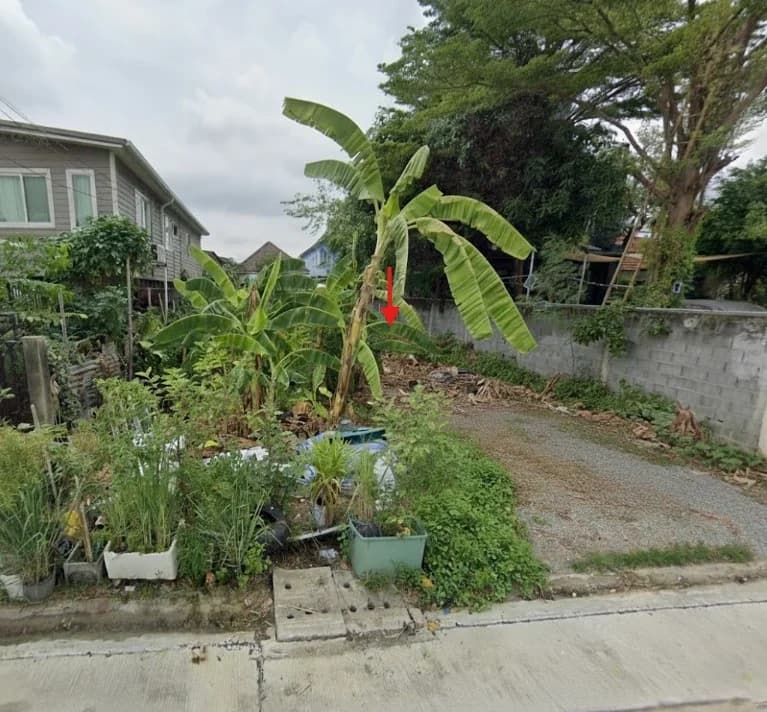 Land For Sale บางไผ่, บางแค, กรุงเทพมหานคร — photo 1