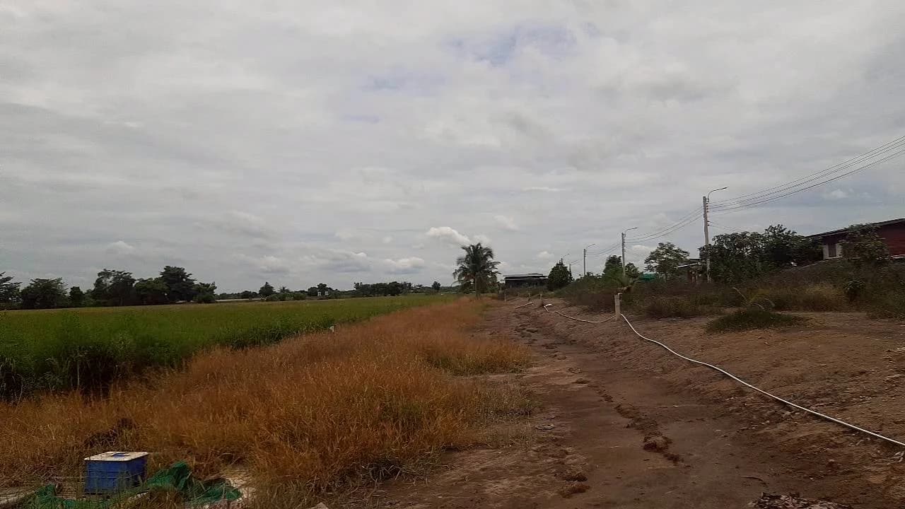 ขายที่ดิน 14 ไร่ 3 งาน 62 ตร.ว. ซอยวัดย่านวัดต้นเชือก ติดถนนหมายเลข 5027 3