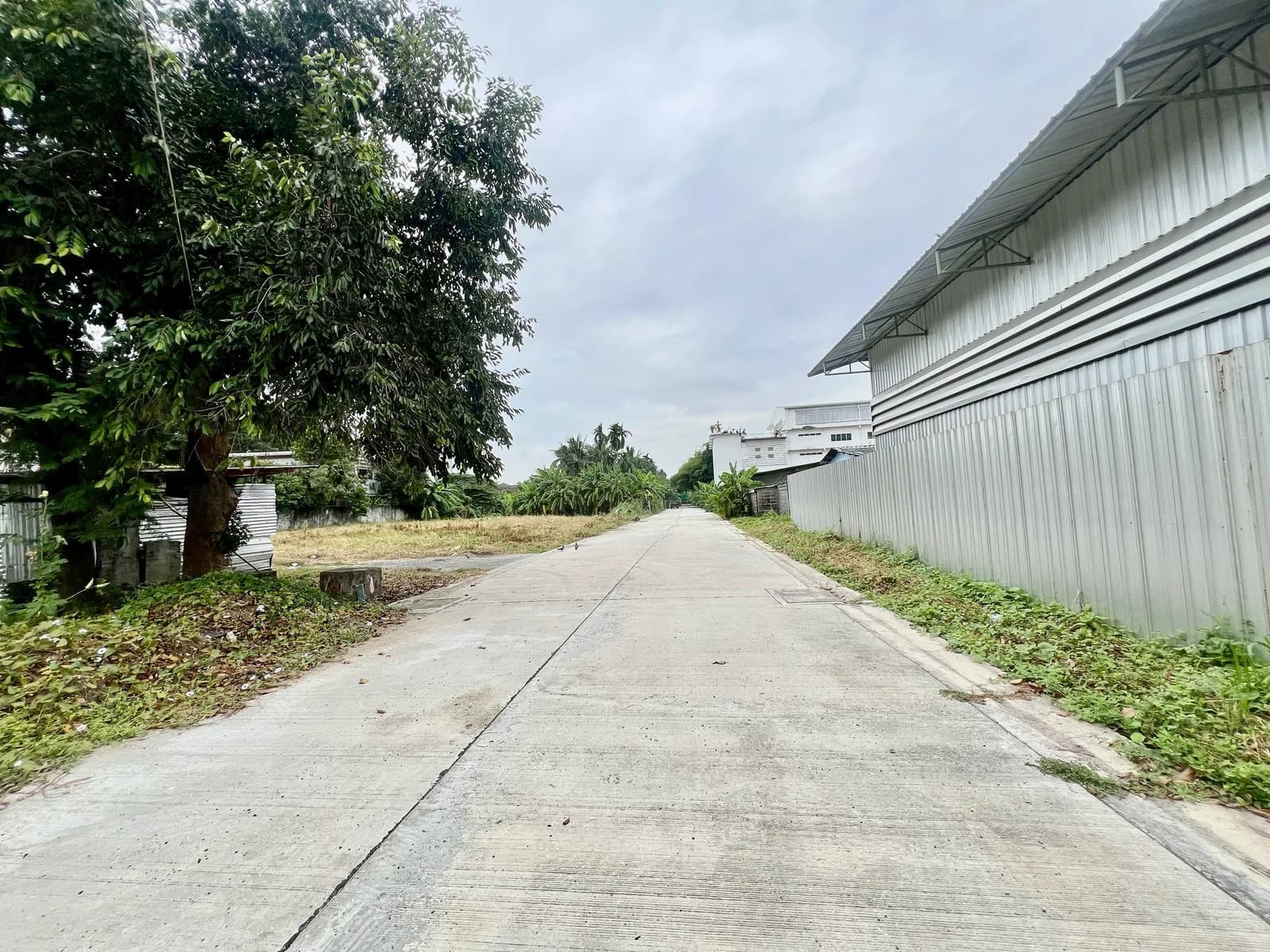 Land 1 rai 3 ngan 64 sq.wah. Soi Punnawithi 39. 3