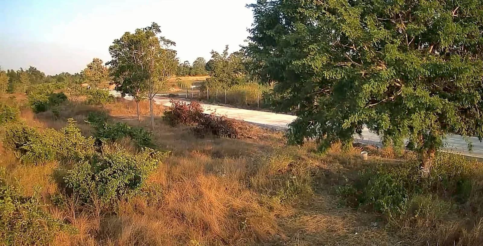 Land For Sale วังไคร้, ท่ายาง, เพชรบุรี — photo 1