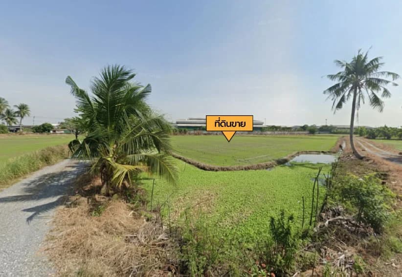 ขายที่ดิน 19 ไร่ 2 งาน 42.5 ตร.ว. ซอยวิปัสสนา ใกล้ สนง.เทศบาลตำบลบางกระทึก 2