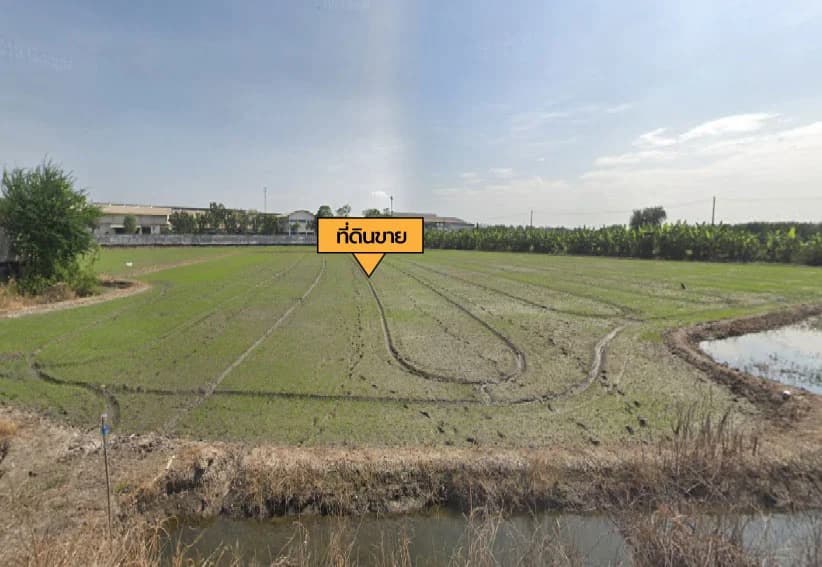 ขายที่ดิน 19 ไร่ 2 งาน 42.5 ตร.ว. ซอยวิปัสสนา ใกล้ สนง.เทศบาลตำบลบางกระทึก 4