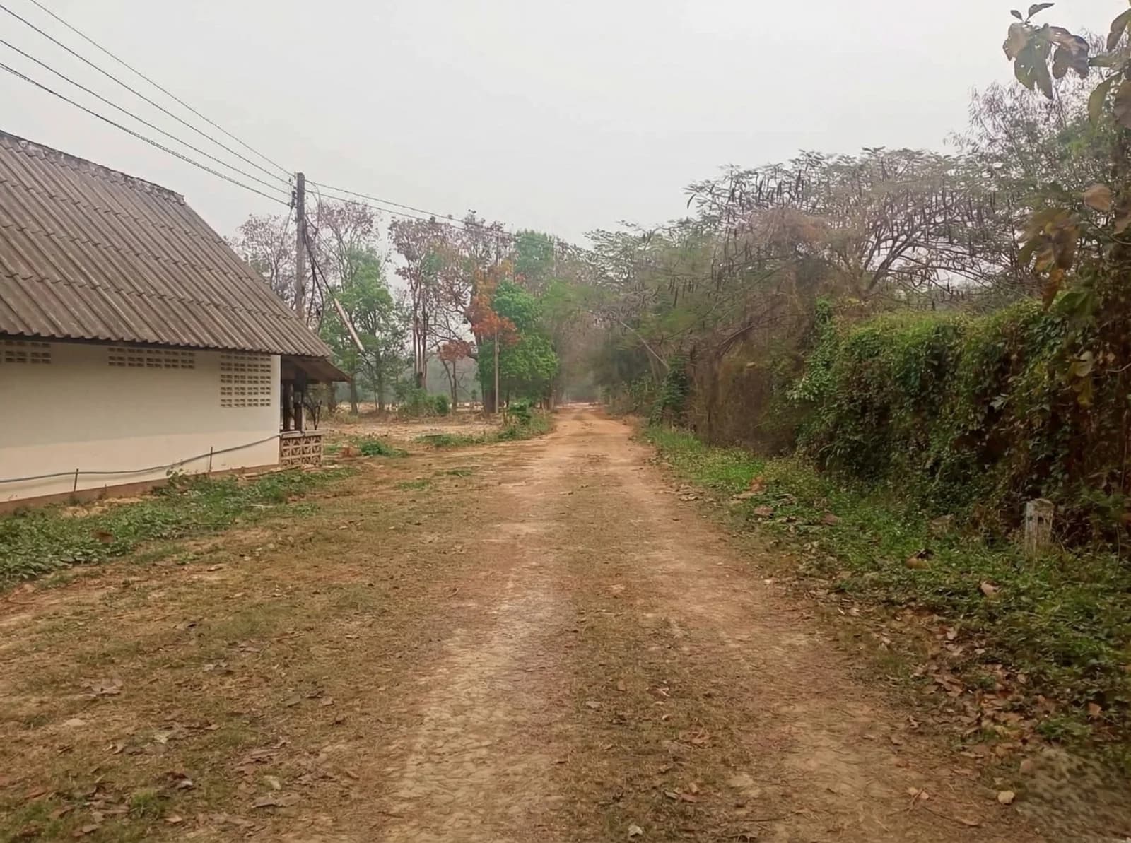 Land For Sale เชียงบาน, เชียงคำ, พะเยา — photo 1