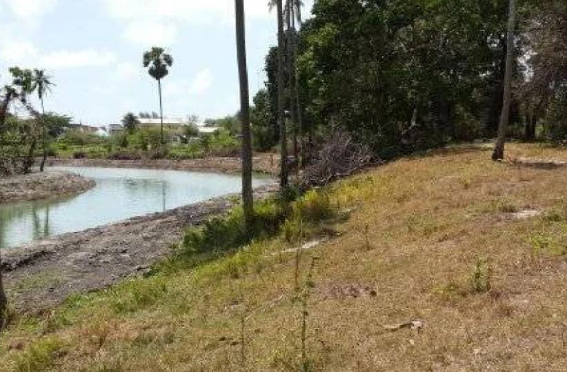 Land 14 rai 0 ngan 5 sq.wah. Soi Songkhla-Nathawee 2 2