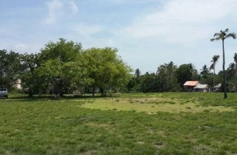 Land 14 rai 0 ngan 5 sq.wah. Soi Songkhla-Nathawee 2 3