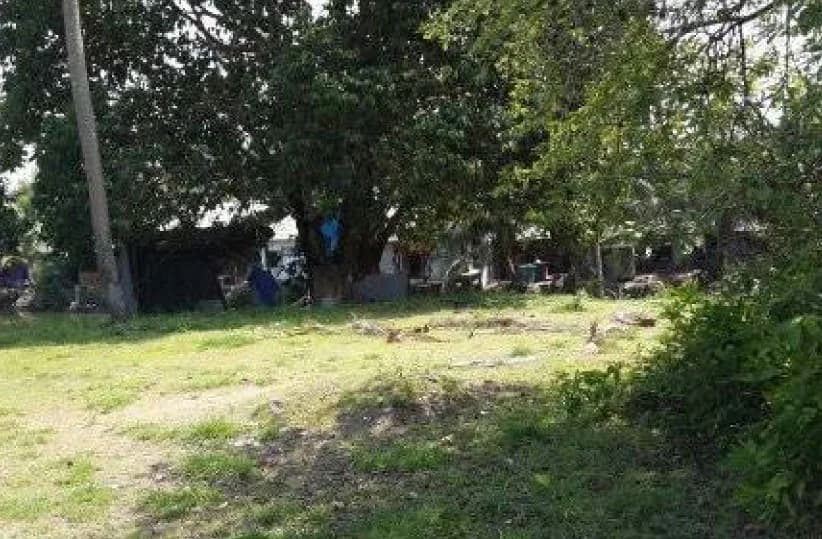 Land 14 rai 0 ngan 5 sq.wah. Soi Songkhla-Nathawee 2 5