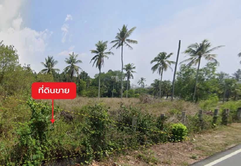 Land 1 rai 0 ngan 60.2 sq.wah, next to Soi Mai Khao 7 3