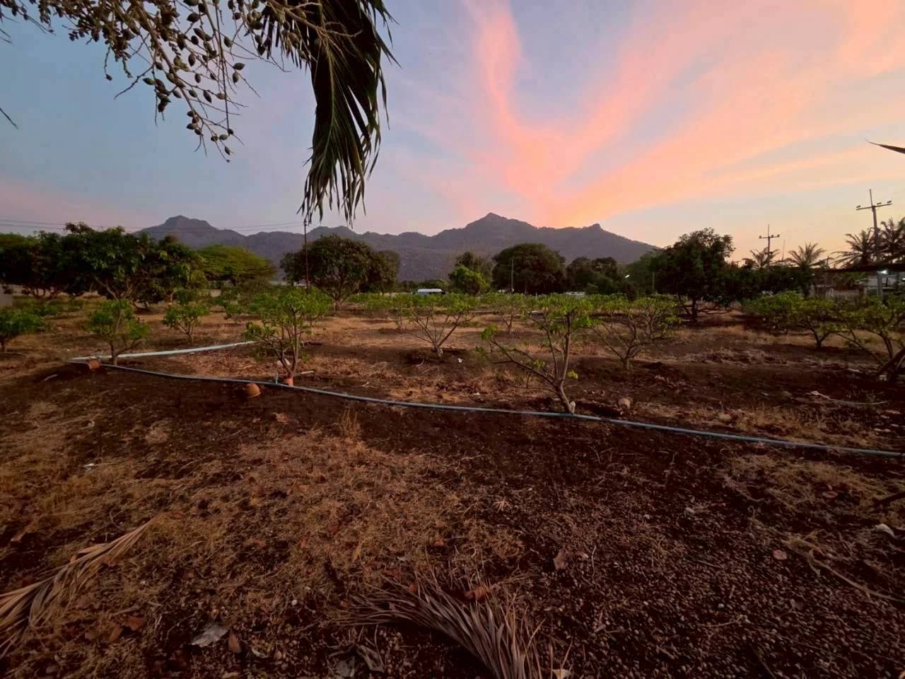 Land For Sale กลางดง, ปากช่อง, นครราชสีมา — photo 1