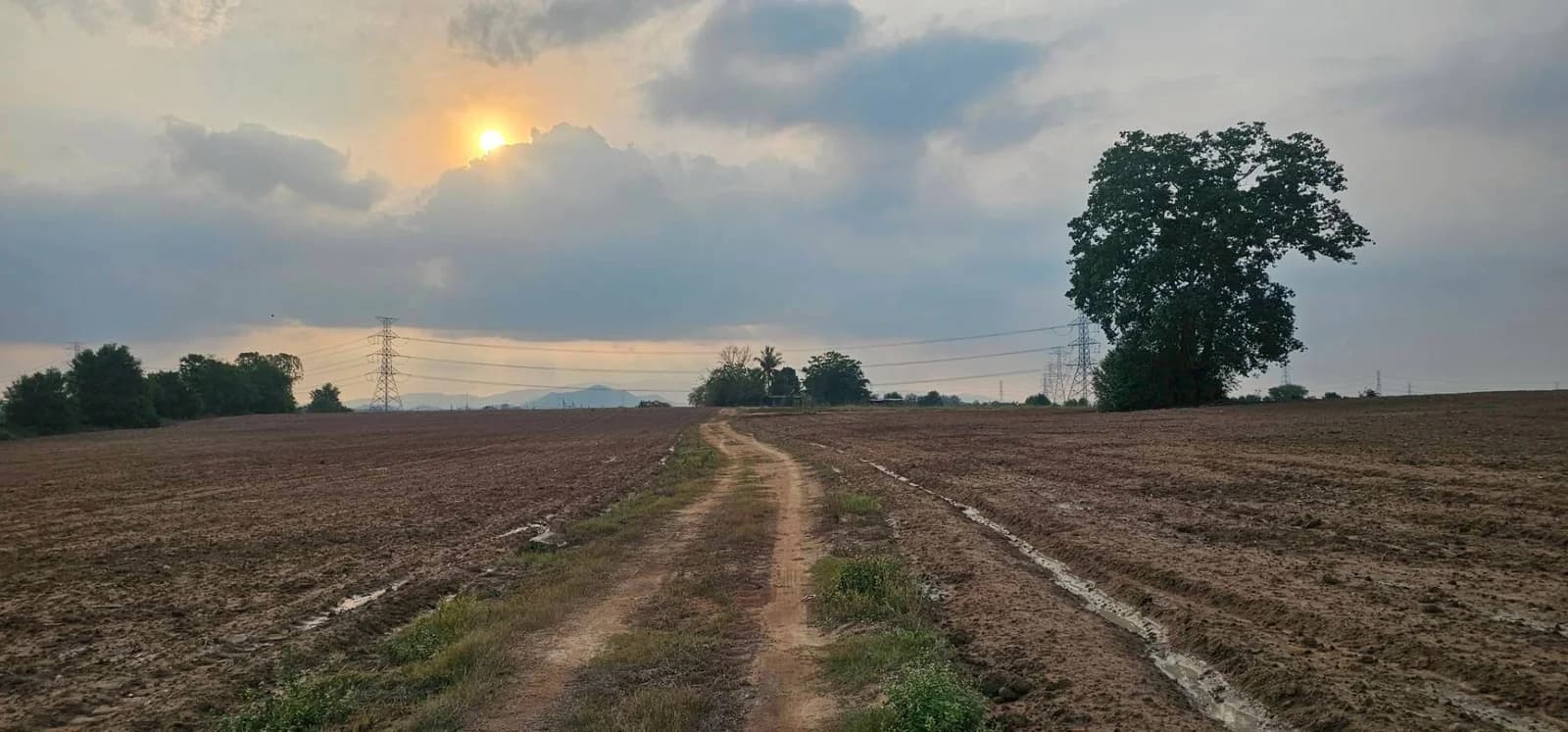 ขายที่ดิน จ.ชลบุรี เนื้อที่ 108-0-14 ไร่ ใกล้นิคมอุตสาหกรรม WHA ESIE 3 1